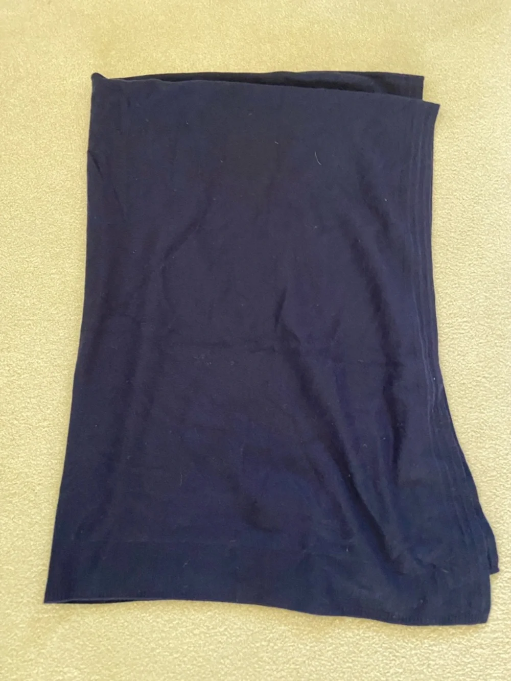 NETJETS 100% Cashmere blanket size 50x62 great for traveling